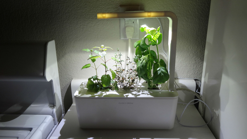 Illustration for article titled Click and Grow Smart Farm Review: Idiot-Proof Indoor Farming